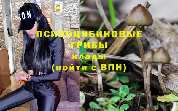 герыч Абаза